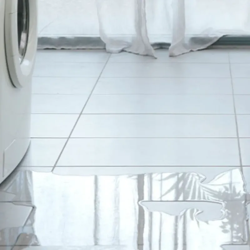 Appliance Leak Cleanup in Poulsbo, WA