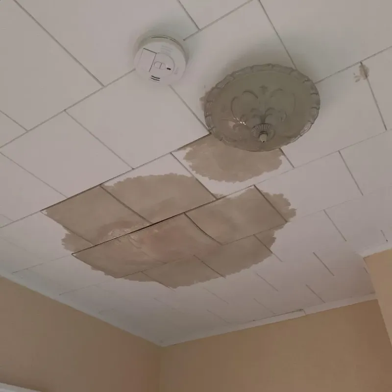 Ceiling Water Damage Repair in Poulsbo, WA