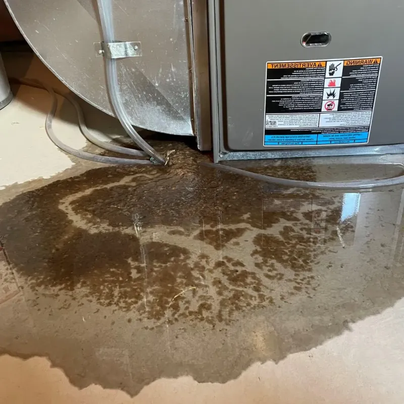Pipe Burst and Leak Restoration in Poulsbo, WA