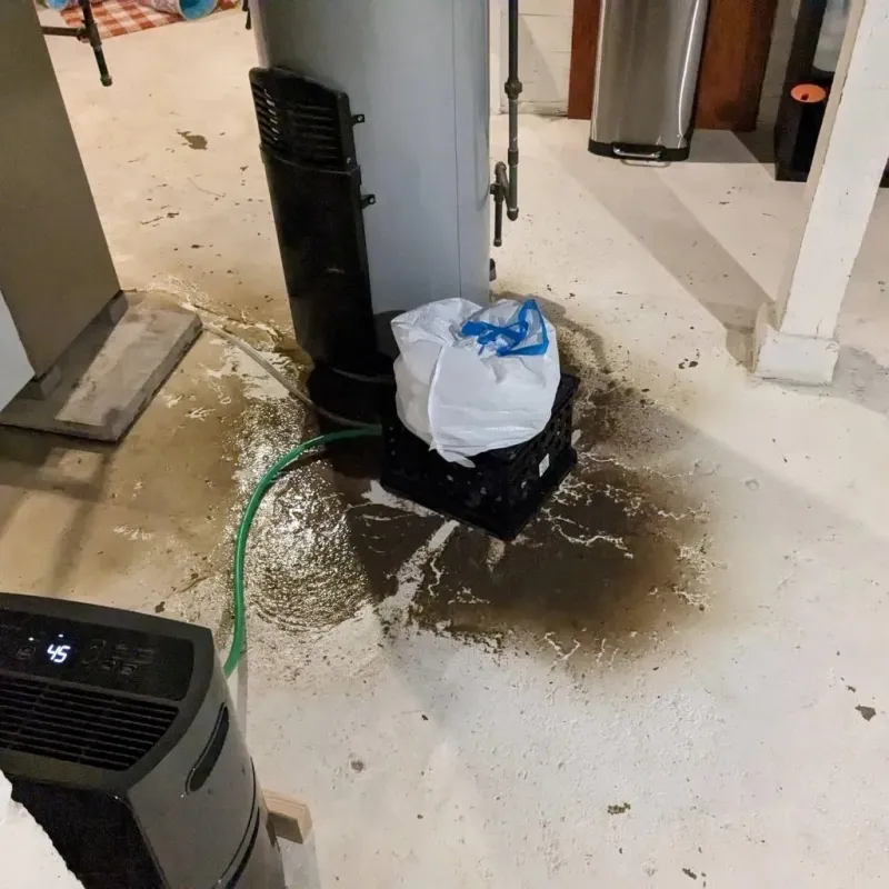 Sewage Backup Cleanup Service in Poulsbo, WA